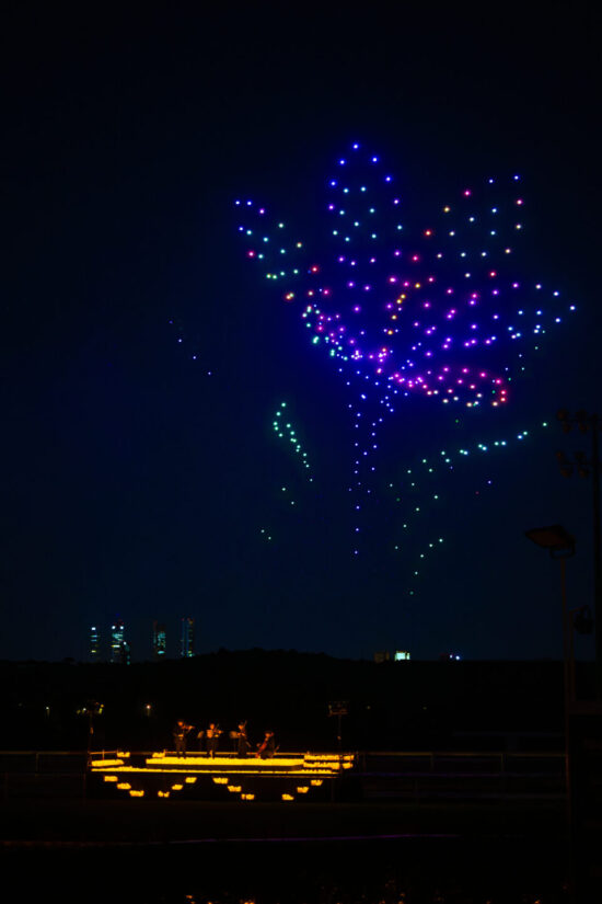DroneArt-Show