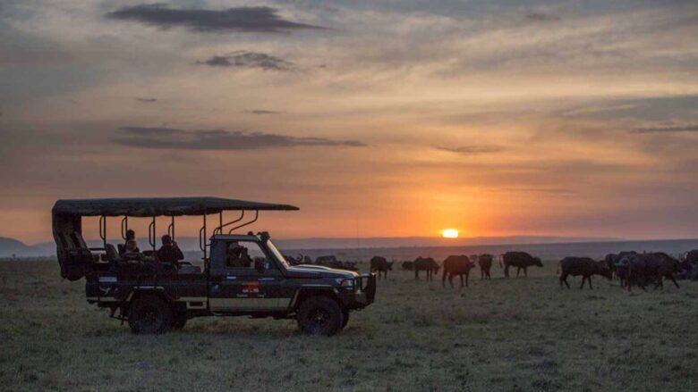 Little Elephant Pepper Camp in der Mara North Conservancy