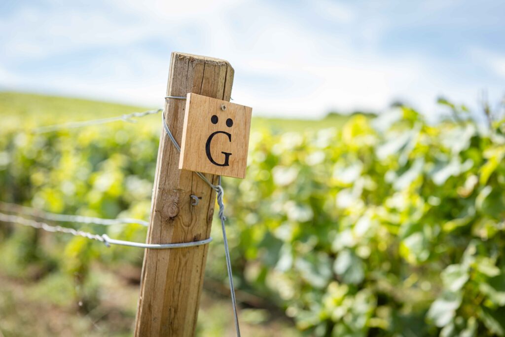 Domaine-Henri-Giraud