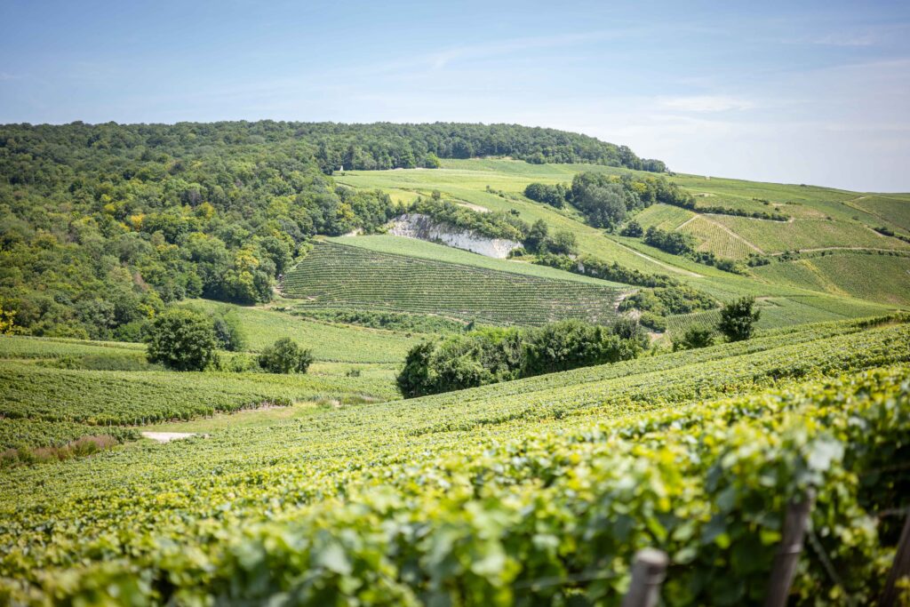 Domaine-Henri-Giraud